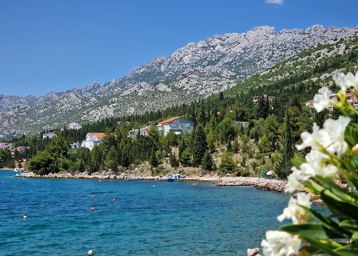 See Paradise